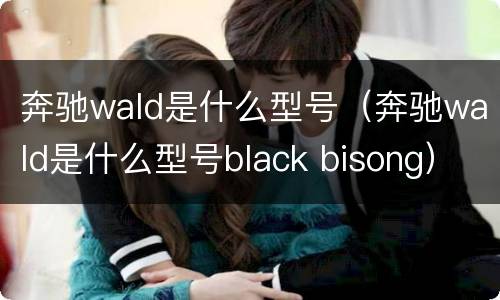 奔驰wald是什么型号（奔驰wald是什么型号black bisong）