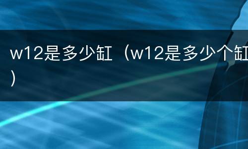 w12是多少缸（w12是多少个缸）