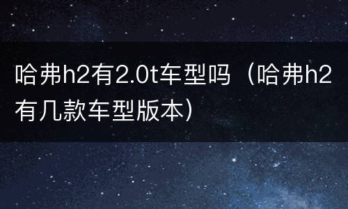 哈弗h2有2.0t车型吗（哈弗h2有几款车型版本）