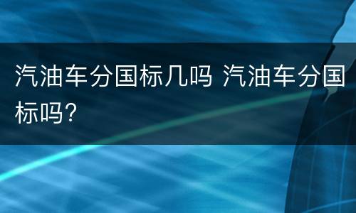 汽油车分国标几吗 汽油车分国标吗?