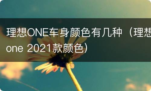 理想ONE车身颜色有几种（理想one 2021款颜色）