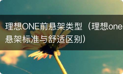 理想ONE前悬架类型（理想one悬架标准与舒适区别）