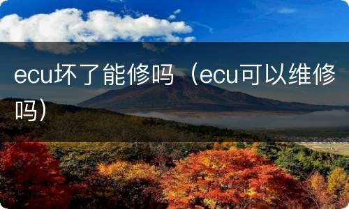 ecu坏了能修吗（ecu可以维修吗）