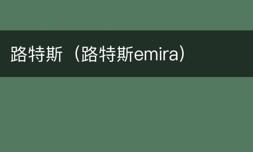 路特斯（路特斯emira）