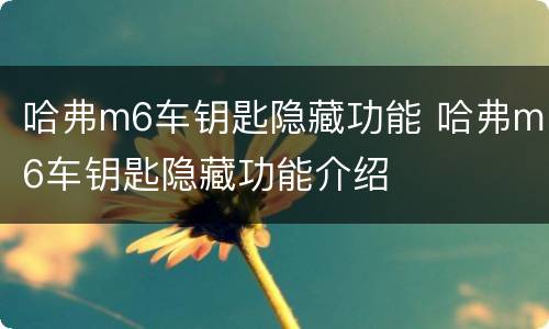 哈弗m6车钥匙隐藏功能 哈弗m6车钥匙隐藏功能介绍