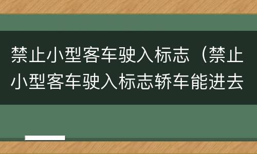 禁止小型客车驶入标志（禁止小型客车驶入标志轿车能进去吗）