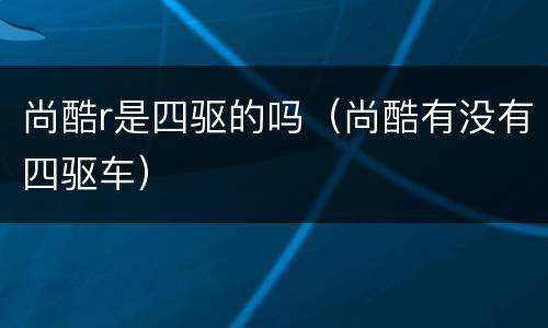 尚酷r是四驱的吗（尚酷有没有四驱车）