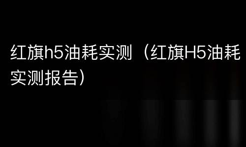 红旗h5油耗实测（红旗H5油耗实测报告）