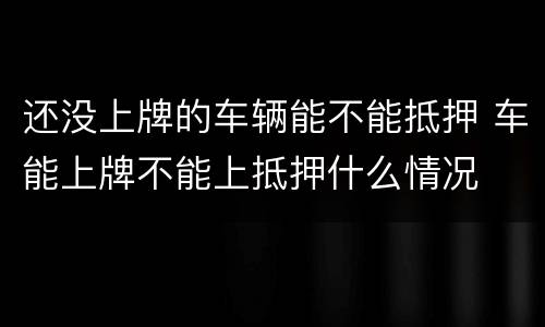 还没上牌的车辆能不能抵押 车能上牌不能上抵押什么情况