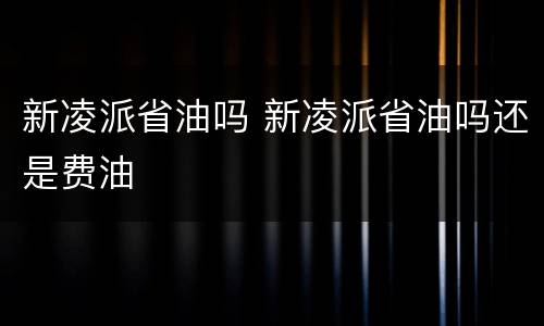 新凌派省油吗 新凌派省油吗还是费油