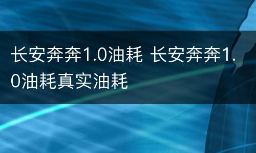 长安奔奔1.0油耗 长安奔奔1.0油耗真实油耗