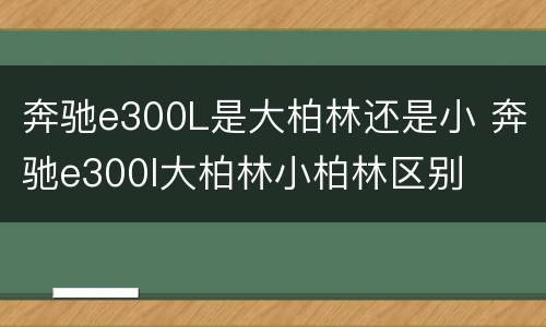 奔驰e300L是大柏林还是小 奔驰e300l大柏林小柏林区别