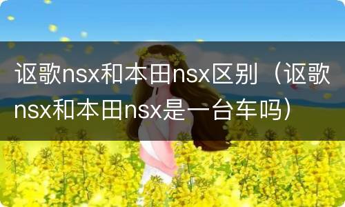 讴歌nsx和本田nsx区别（讴歌nsx和本田nsx是一台车吗）