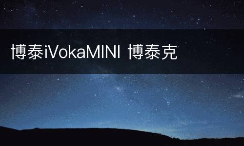 博泰iVokaMINI 博泰克