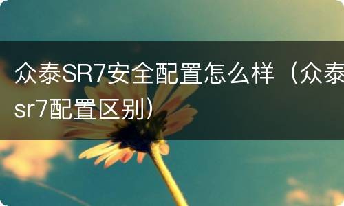 众泰SR7安全配置怎么样（众泰sr7配置区别）