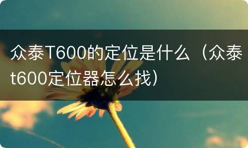 众泰T600的定位是什么（众泰t600定位器怎么找）