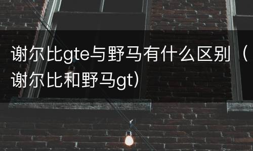 谢尔比gte与野马有什么区别（谢尔比和野马gt）