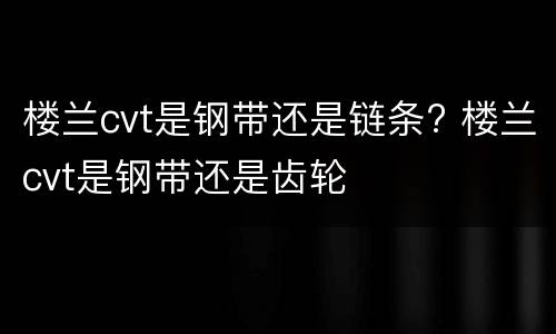 楼兰cvt是钢带还是链条? 楼兰cvt是钢带还是齿轮