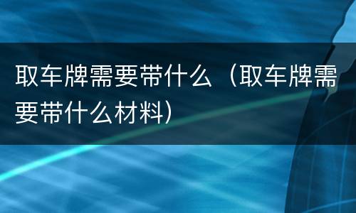 取车牌需要带什么（取车牌需要带什么材料）