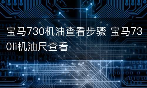 宝马730机油查看步骤 宝马730li机油尺查看