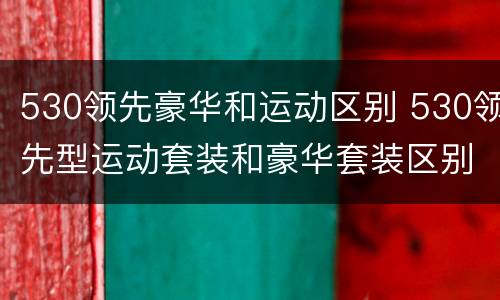 530领先豪华和运动区别 530领先型运动套装和豪华套装区别