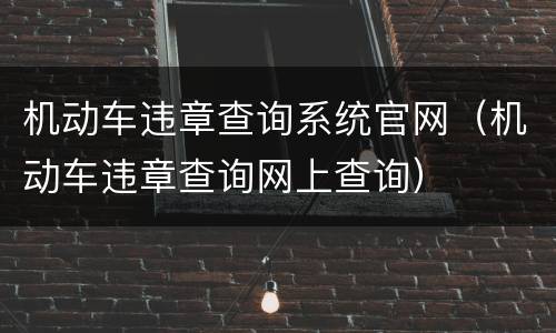 机动车违章查询系统官网（机动车违章查询网上查询）