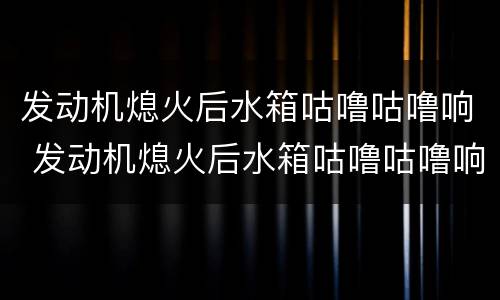 发动机熄火后水箱咕噜咕噜响 发动机熄火后水箱咕噜咕噜响水温表过高