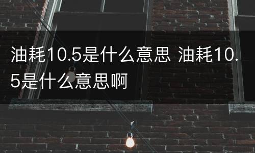 油耗10.5是什么意思 油耗10.5是什么意思啊