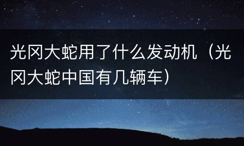 光冈大蛇用了什么发动机（光冈大蛇中国有几辆车）