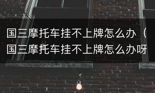 国三摩托车挂不上牌怎么办（国三摩托车挂不上牌怎么办呀）