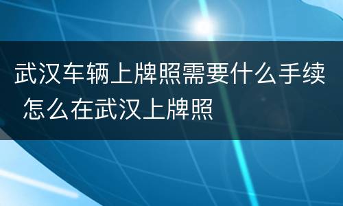 武汉车辆上牌照需要什么手续 怎么在武汉上牌照