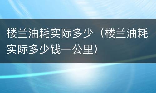 楼兰油耗实际多少（楼兰油耗实际多少钱一公里）