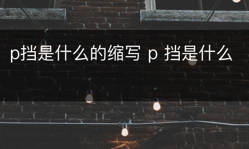 p挡是什么的缩写 p 挡是什么