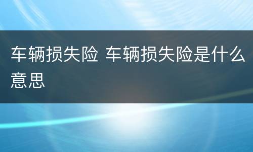 车辆损失险 车辆损失险是什么意思