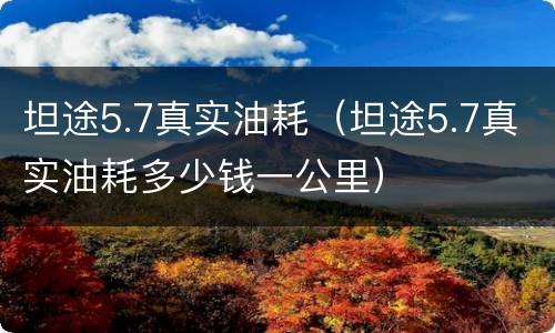 坦途5.7真实油耗（坦途5.7真实油耗多少钱一公里）