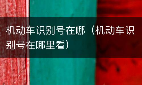 机动车识别号在哪（机动车识别号在哪里看）