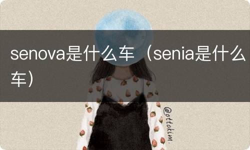 senova是什么车（senia是什么车）