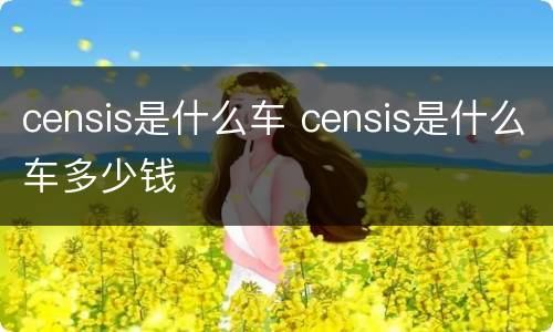 censis是什么车 censis是什么车多少钱