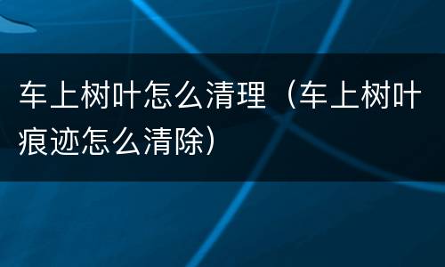 车上树叶怎么清理（车上树叶痕迹怎么清除）