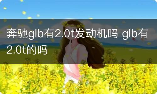 奔驰glb有2.0t发动机吗 glb有2.0t的吗