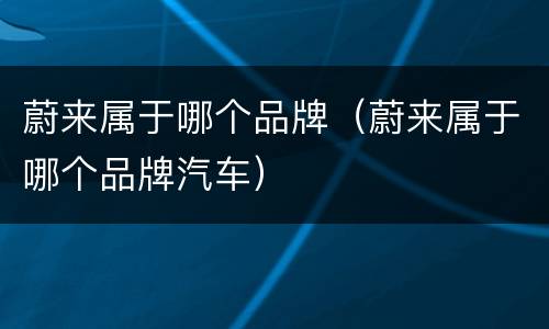 蔚来属于哪个品牌（蔚来属于哪个品牌汽车）