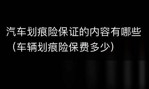 汽车划痕险保证的内容有哪些（车辆划痕险保费多少）