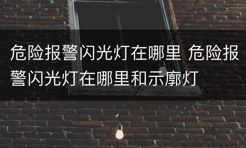 危险报警闪光灯在哪里 危险报警闪光灯在哪里和示廓灯