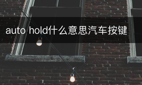 auto hold什么意思汽车按键