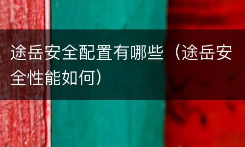 途岳安全配置有哪些（途岳安全性能如何）