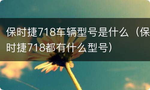 保时捷718车辆型号是什么（保时捷718都有什么型号）