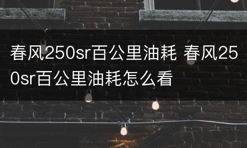 春风250sr百公里油耗 春风250sr百公里油耗怎么看