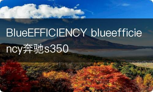 BlueEFFICIENCY blueefficiency奔驰s350