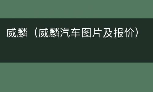 威麟（威麟汽车图片及报价）