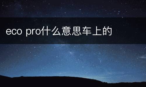 eco pro什么意思车上的